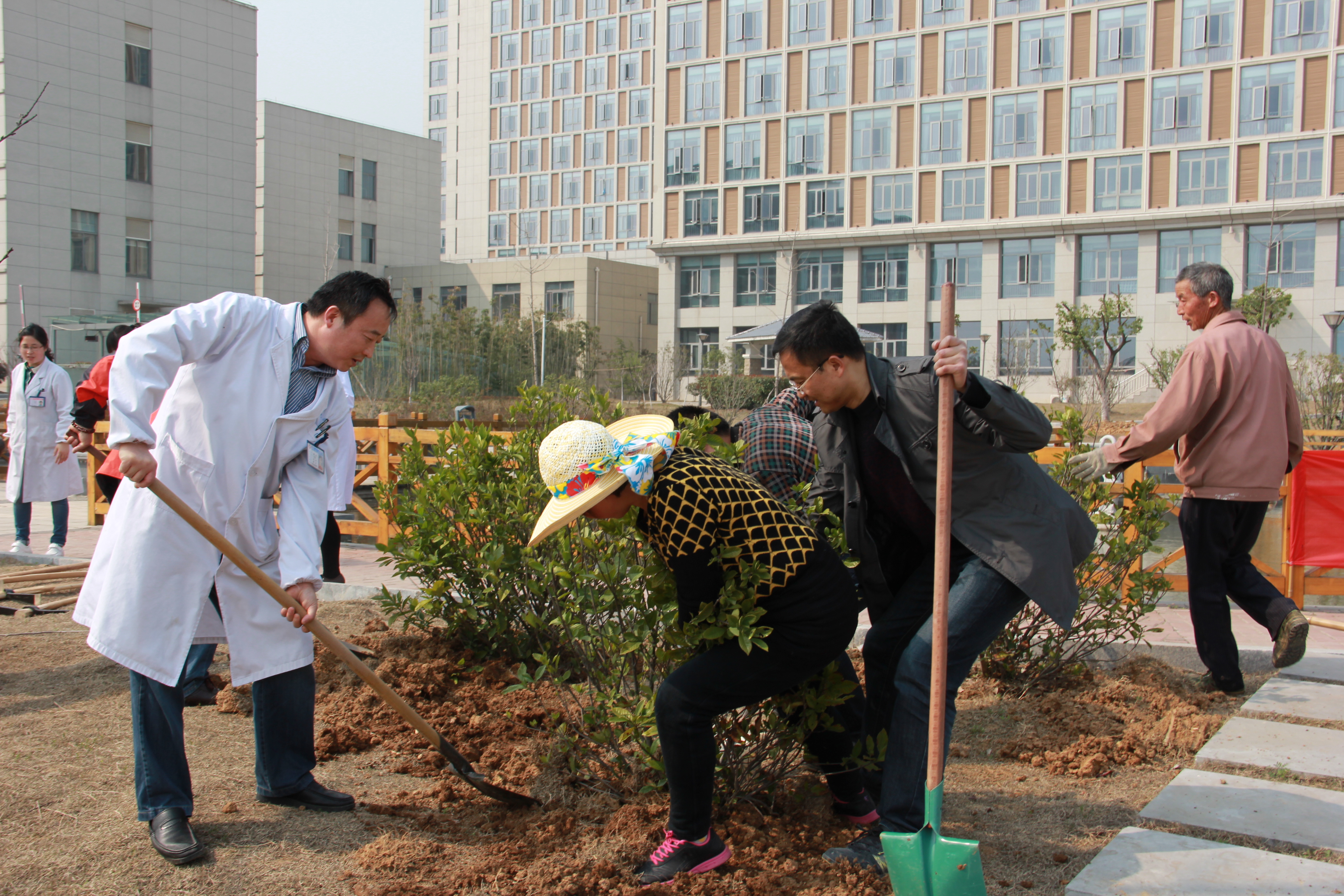 院团委组织植树活动