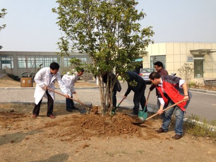 院团委组织植树活动